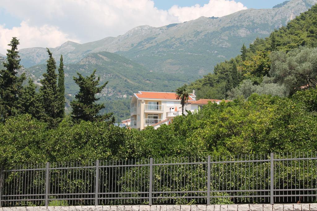 Apartament Lavanda *