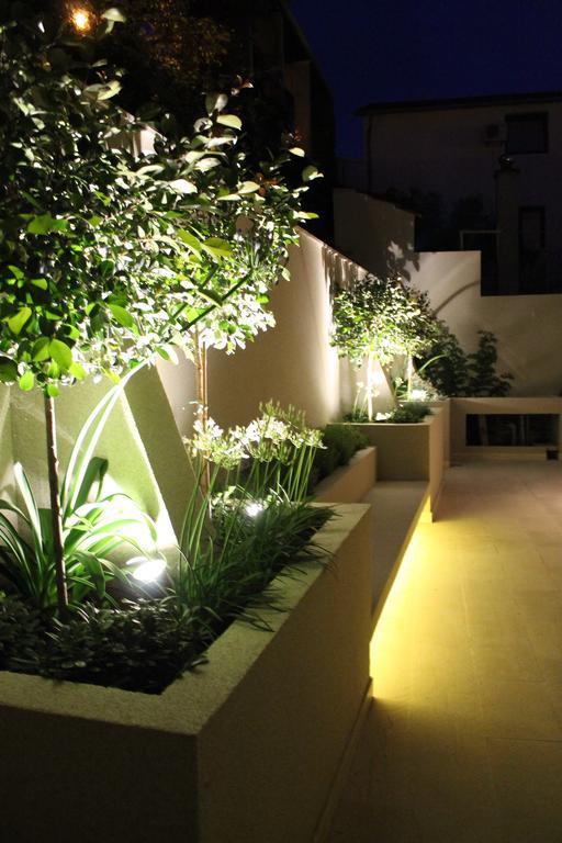 Apartment Lavanda Budva