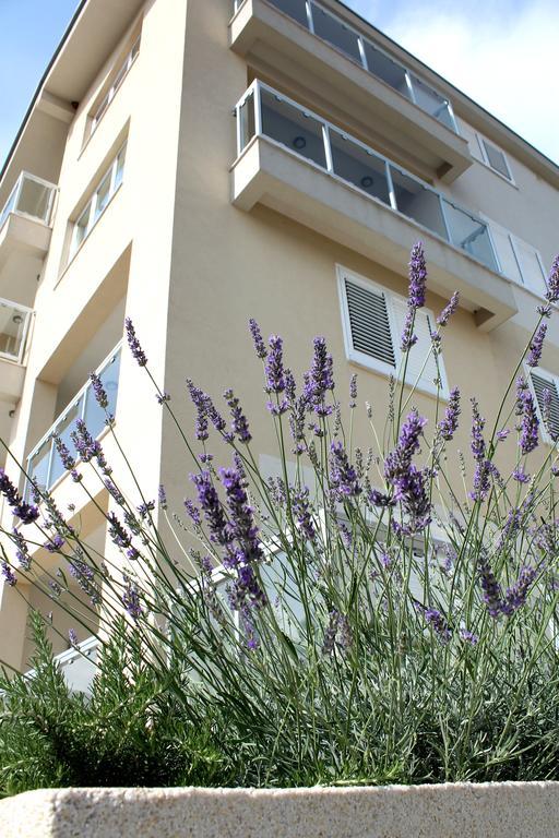 Lavanda Budva